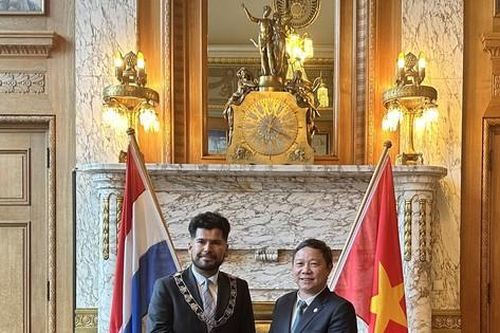 TPHCM và thành phố cảng lớn nhất châu Âu hợp tác chống biến đổi khí hậu, quản lý ngập lụt