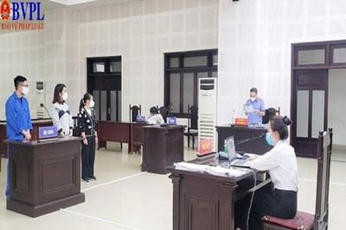 Xây dựng Nghị quyết hướng dẫn áp dụng quy định tại một số điều của Bộ luật Hình sự