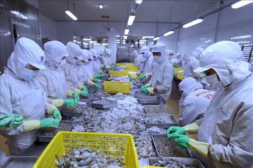 Gia tăng các vụ lừa đảo doanh nghiệp Việt Nam xuất khẩu sang Canada
