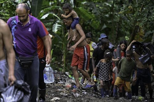 Số người mạo hiểm vượt rừng rậm Darien Gap ở mức cao kỷ lục