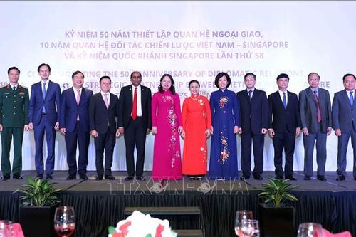 Kỷ niệm 50 năm thiết lập quan hệ ngoại giao Việt Nam - Singapore