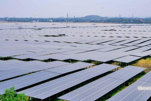 Điểm sáng duy nhất trong bức tranh kinh doanh ảm đạm của Sao Mai