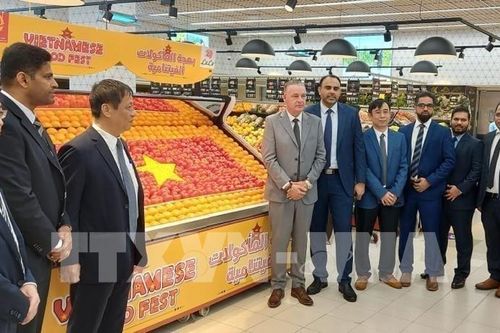 Thứ trưởng Phùng Đức Tiến: Cần thiết thành lập hiệp hội doanh nghiệp nông sản Việt Nam và UAE