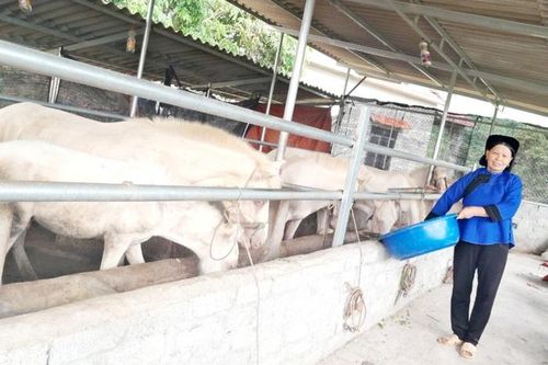 Nắm bắt nguyện vọng để hỗ trợ phụ nữ dân tộc thiểu số làm kinh tế