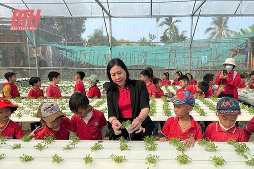Công tác phổ cập giáo dục tiểu học ở thị xã Nghi Sơn