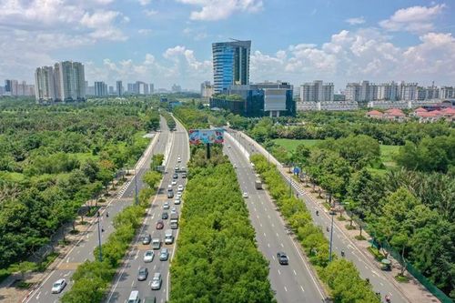 TP.HCM: Thu hồi đất có thể xem xét bồi thường bằng đất khác