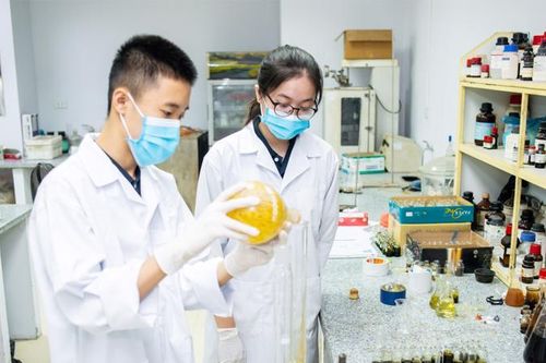 Sẽ ban hành cơ chế đặc thù, chấp nhận rủi ro, thất bại trong nghiên cứu khoa học