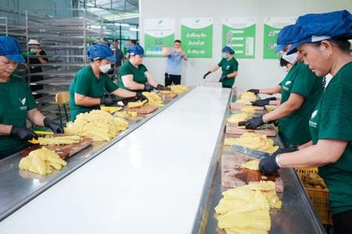 Để HTX đi đường dài trong chế biến nông sản