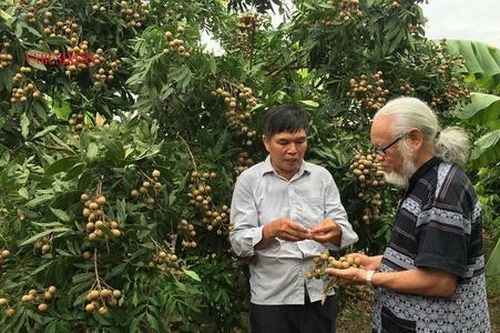 Ông Giám đốc giúp HTX thu lãi hàng tỷ mỗi năm nhờ lối tư duy làm ăn phải thật thà, 'chịu thiệt'