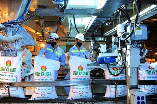Thành viên HĐQT Đạm Cà Mau gửi đơn từ nhiệm
