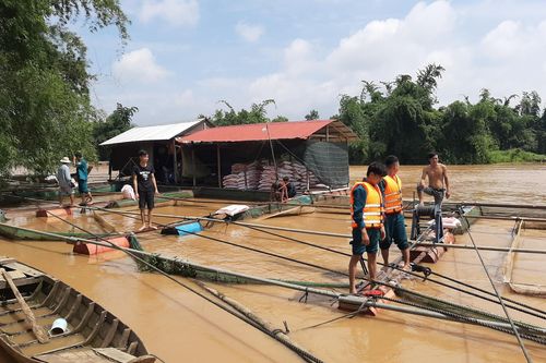 Đồng Nai: Nông dân thiệt hại đủ đường do mưa lũ