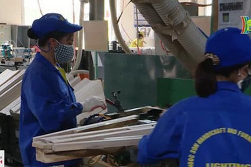 Ngành gỗ vẫn chưa thể phục hồi trước mắt