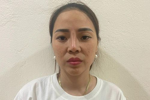 Nữ giám đốc điều hành đường dây trộm cắp tại Công ty Nhiệt điện B.O.T Hải Dương