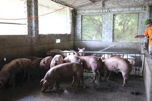 Đổi thay ở xã khó khăn nhất huyện Chương Mỹ