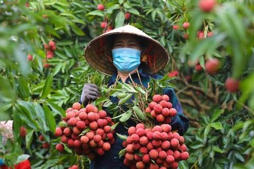 Để nâng cao sức cạnh tranh của hàng Việt