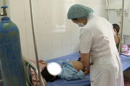11 cháu nhỏ nhập viện do ăn quả rừng