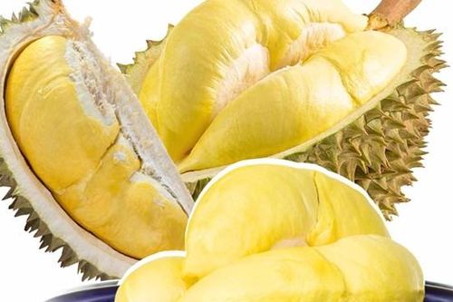 Ai không nên ăn sầu riêng