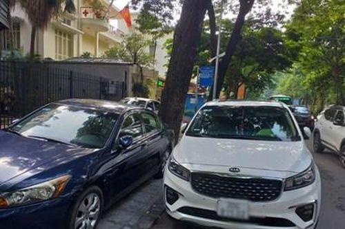 Nhiều điểm chờ xe buýt bị ô tô lấn chiếm thành nơi dừng đỗ