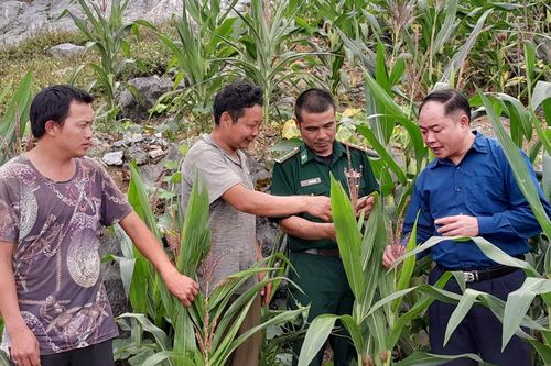 Phú Lũng - Đô thị mới trên cao nguyên đá