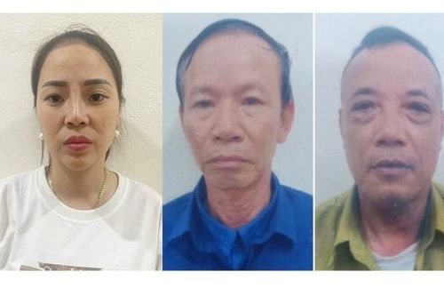 Hải Dương: Bắt nữ giám đốc 'chủ mưu' đường dây trộm cắp 8 tỷ đồng tài sản