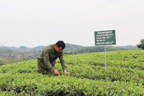 Quỹ Hỗ trợ nông dân các cấp: Góp phần xây dựng và nhân rộng các mô hình sản xuất, kinh doanh