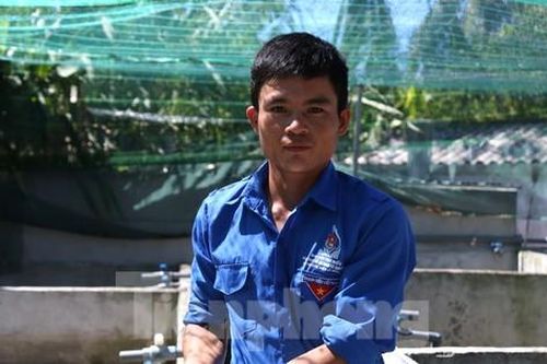 Bí thư chi đoàn khởi nghiệp thành công nhờ nuôi ếch