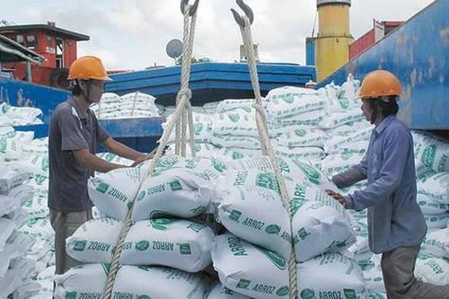 Doanh nghiệp lúa gạo làm ăn thất bát, đua nhau báo lỗ