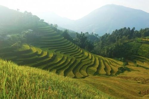Bản Liền (Bắc Hà): Mộc mạc, đơn sơ níu chân du khách