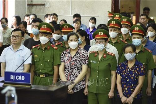 Nhiều cựu cán bộ hầu tòa trong vụ án nâng cấp, cải tạo Cảng Hàng không Điện Biên