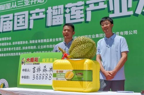 Quả sầu riêng nặng gần 7kg bất ngờ được trả giá gần 1,3 tỷ đồng