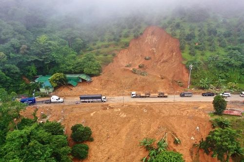 Đồi trồng sầu riêng ngay điểm sạt lở trên đèo Bảo Lộc có một phần đất rừng