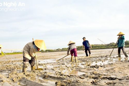8X Nghệ An bỏ tiền tỷ 'làm nhà' cho 'lộc trời' sinh sôi