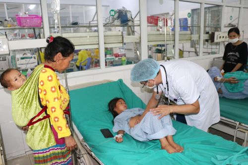 Vụ ngộ độc quả hồng châu: Một trẻ tử vong, 3 trẻ phải chuyển viện