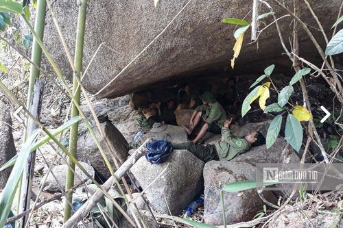 Hàng loạt nhân viên bảo vệ rừng nghỉ việc