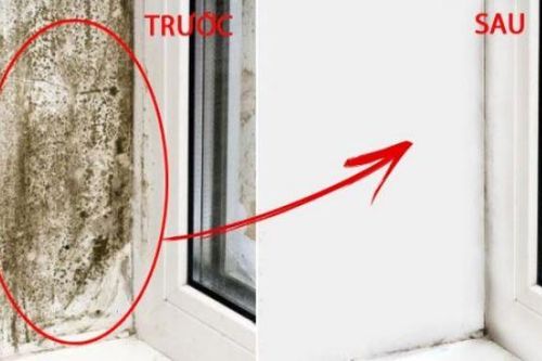 Tường bị nấm mốc, lau chùi mãi ko sạch: Dùng cách này tường sạch bong như mới chỉ trong ít phút
