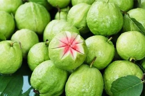 Mua ổi muốn chọn quả giòn ngọt, không chua, không chát hãy nhìn vào 5 điểm này