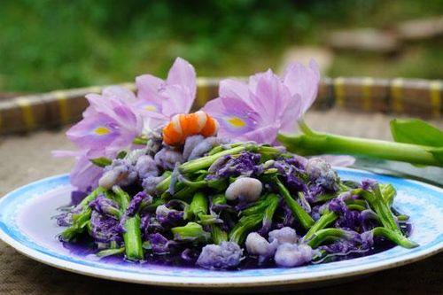 Loại cây người Việt thường vứt bỏ hóa ra lại là vị thuốc quý, món ăn ngon tại nhiều nước