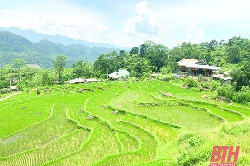 Nhân kỷ niệm 95 năm thành lập châu Tân Hóa (3-8-1928 - 3-8-2023): Huyện Bá Thước - 95 năm chặng đường hình thành và phát triển