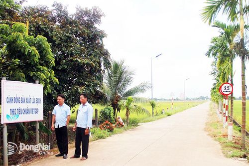 Bước đột phá trong xây dựng khu dân cư kiểu mẫu