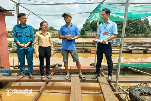 Sẽ cưỡng chế người dân 'cố thủ' ở bè cá nếu nước lũ dâng cao và chảy xiết