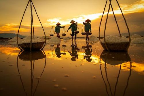 Ơi những cánh đồng muối Hòn Khói