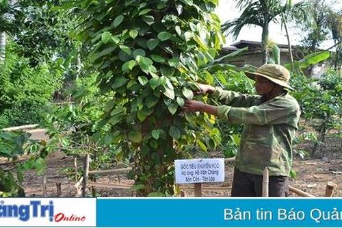 Đẩy mạnh thực hiện các mô hình học tập