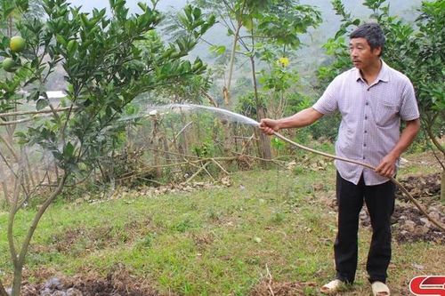 Nêu cao tinh thần tiên phong gương mẫu của đảng viên