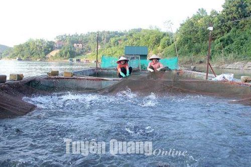 Bảo đảm an toàn thủy sản mùa mưa bão