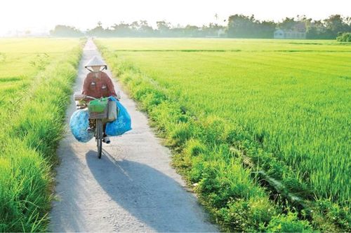 Trĩu nặng đời... ve chai