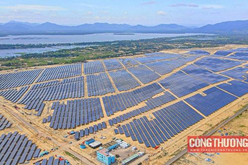 Bamboo Capital: Kinh doanh phục hồi tích cực, cổ phiếu BCG 'trần cứng'