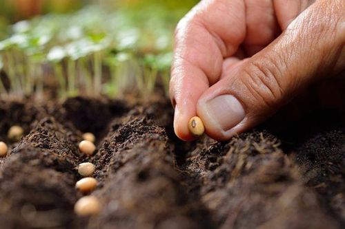 Tích đức theo cách đơn giản nhất?
