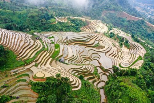 Cao Bồ mùa nước đổ - Bức tranh hoang sơ giữa đại ngàn