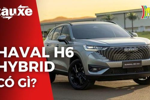 Thương hiệu ô tô Haval có mặt tại thị trường Việt Nam | Bản tin Tàu và Xe | 02/08/2023
