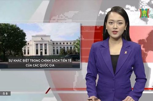 Sự khác biệt trong chính sách tiền tệ của các quốc gia | Nhìn ra thế giới | 02/08/2023